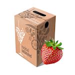 7747 Aardbeien siroop 5 liter bag in box